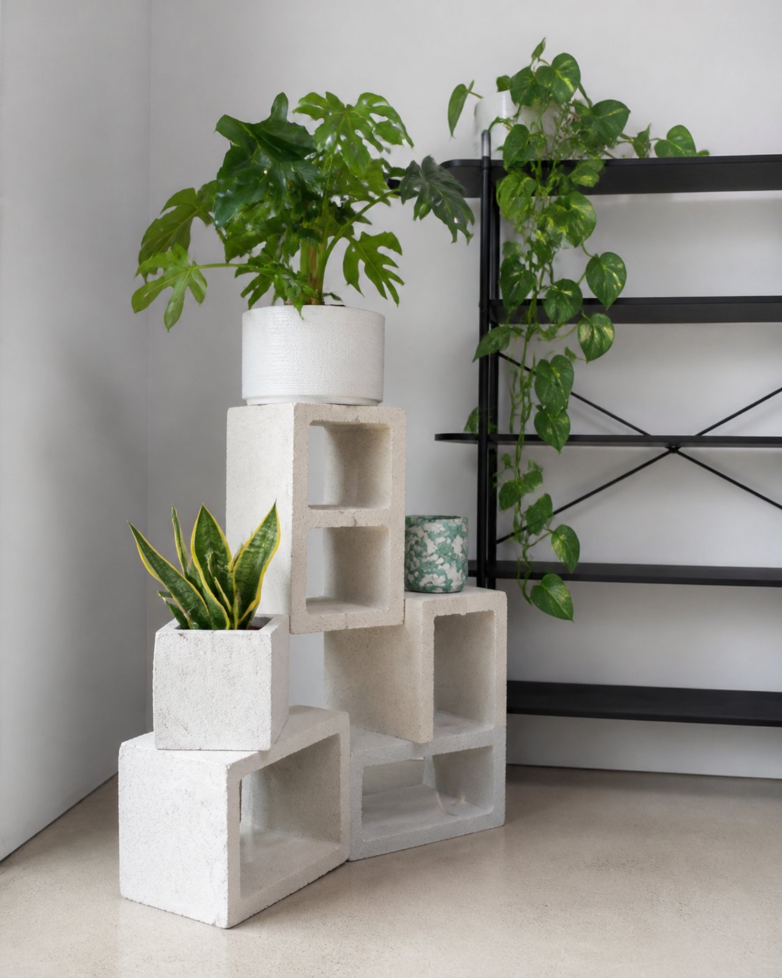 Green plants arranged beside a black shelf and white blocks